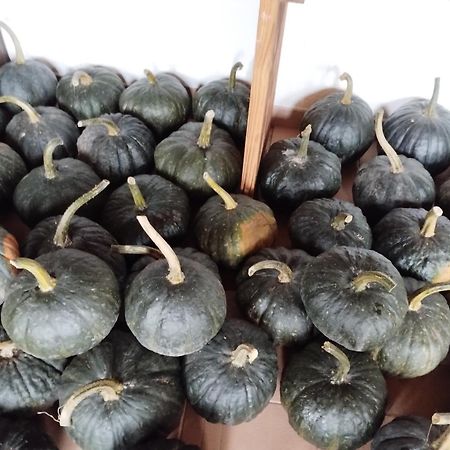 Agriturismo Al Marnich Schignano  Eksteriør bilde